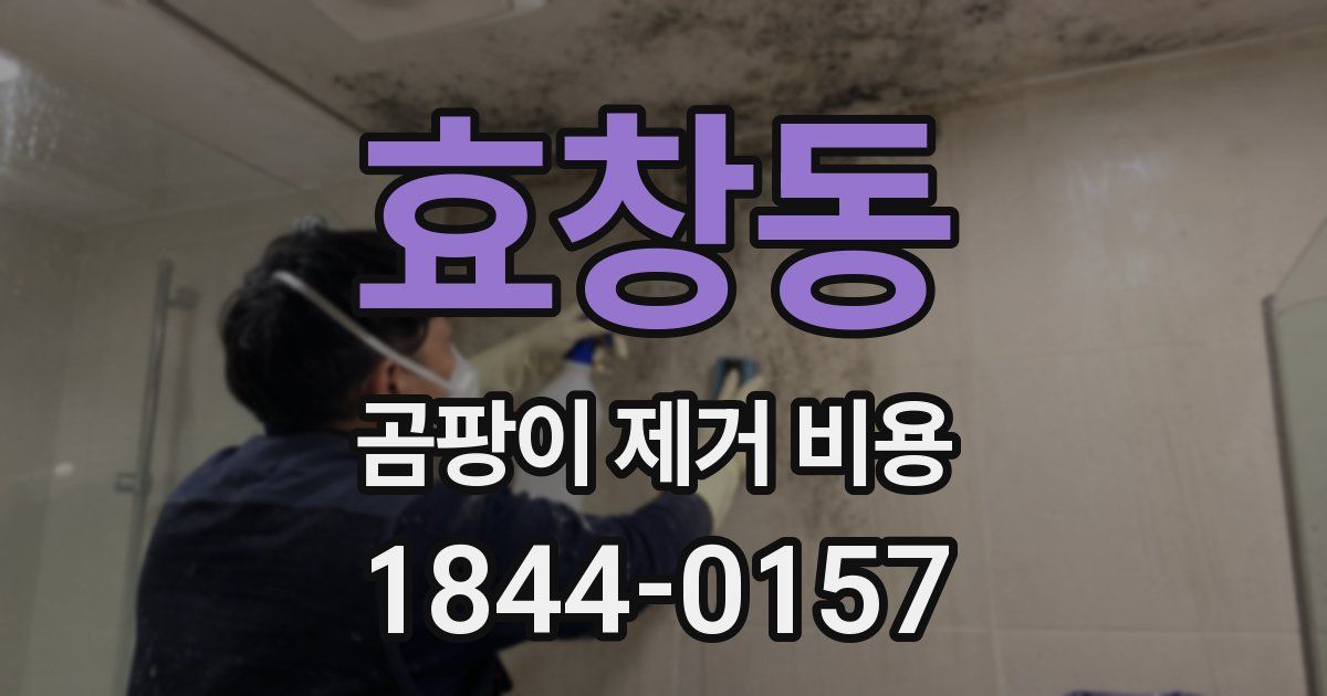 효창동 곰팡이 제거 비용