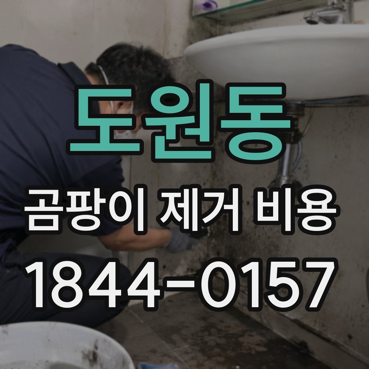 도원동 곰팡이 제거 비용