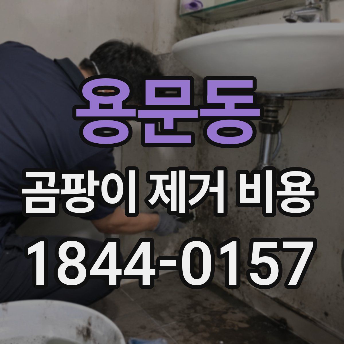 용문동 곰팡이 제거 비용