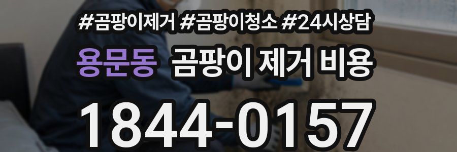 용문동 곰팡이 제거 비용