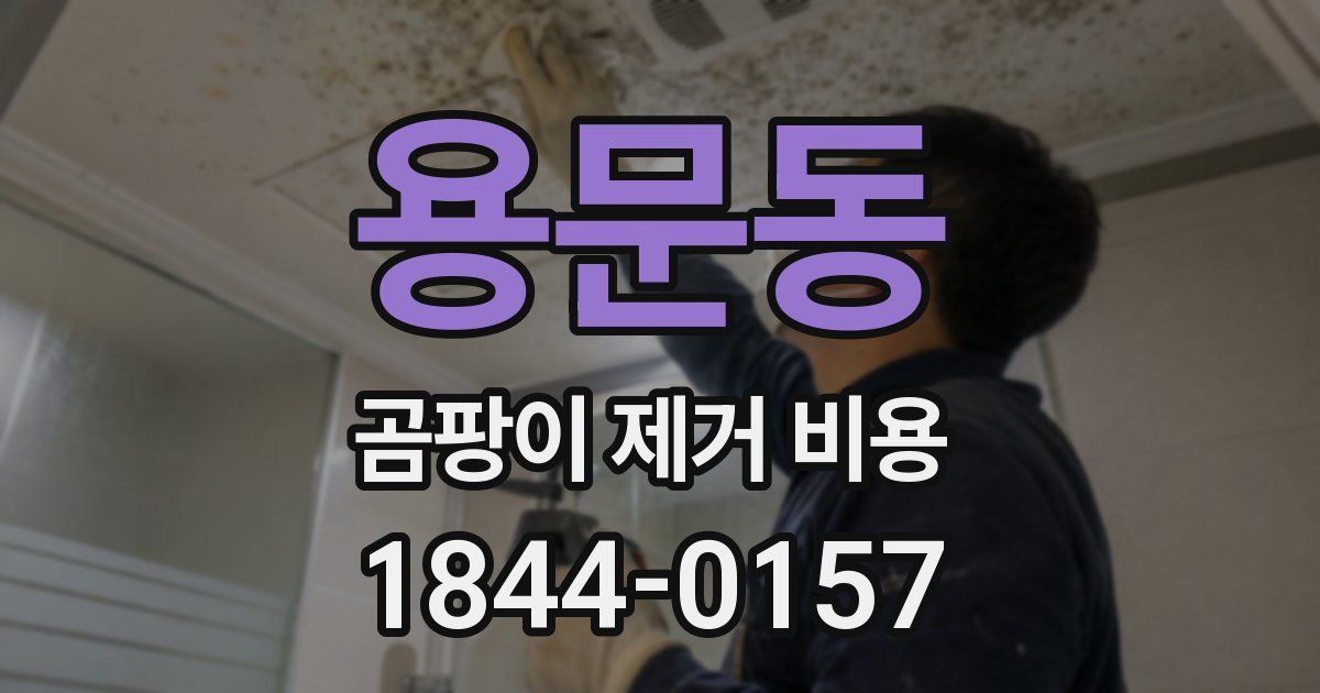 용문동 곰팡이 제거 비용