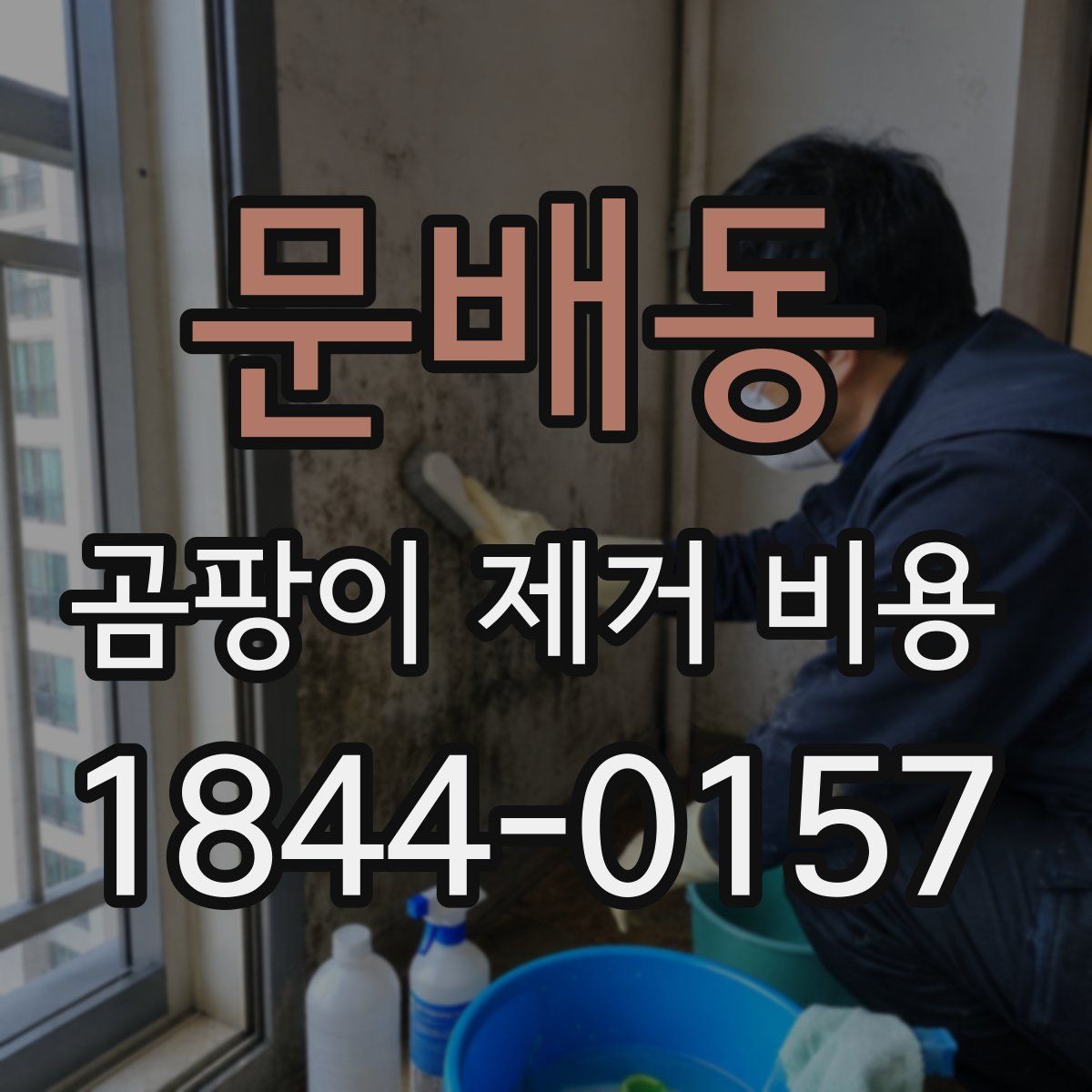 문배동 곰팡이 제거 비용