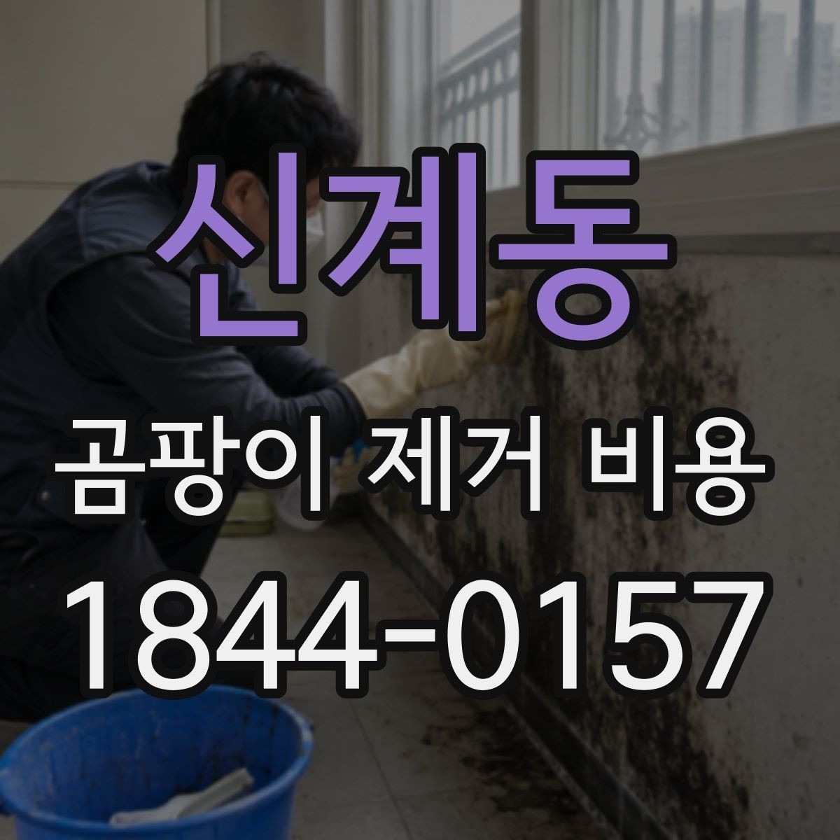 신계동 곰팡이 제거 비용 업체 비교할 때 보증 기준을 확인하는 법