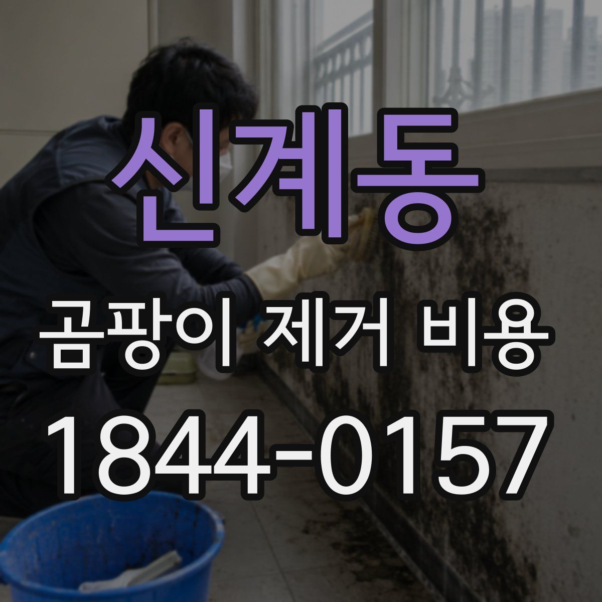 신계동 곰팡이 제거 비용