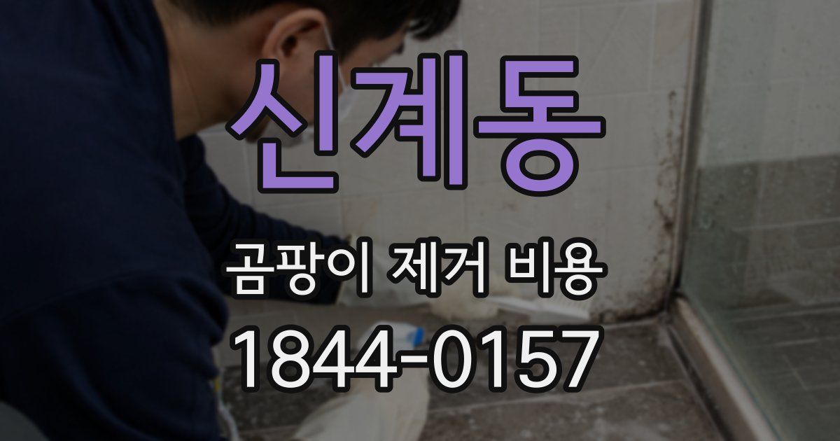 신계동 곰팡이 제거 비용
