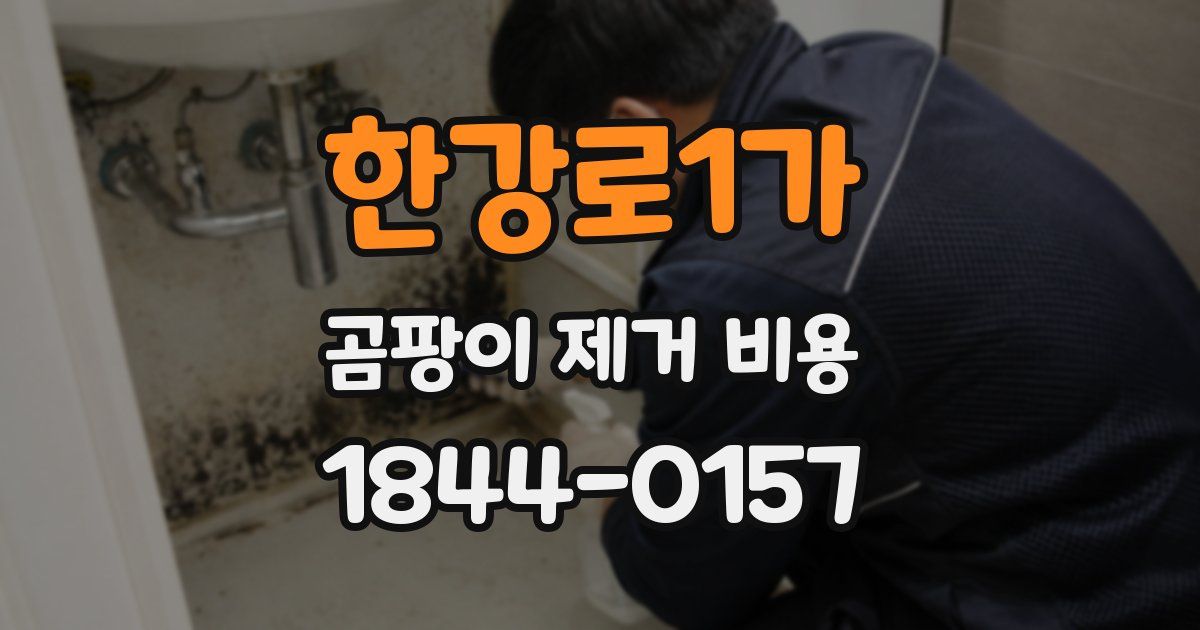 한강로1가 곰팡이 제거 비용