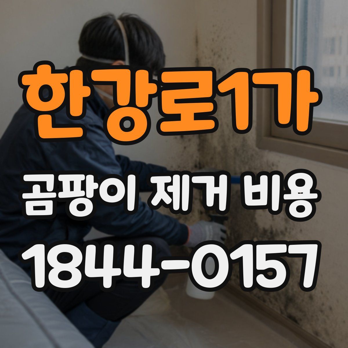 한강로1가 곰팡이 제거 비용