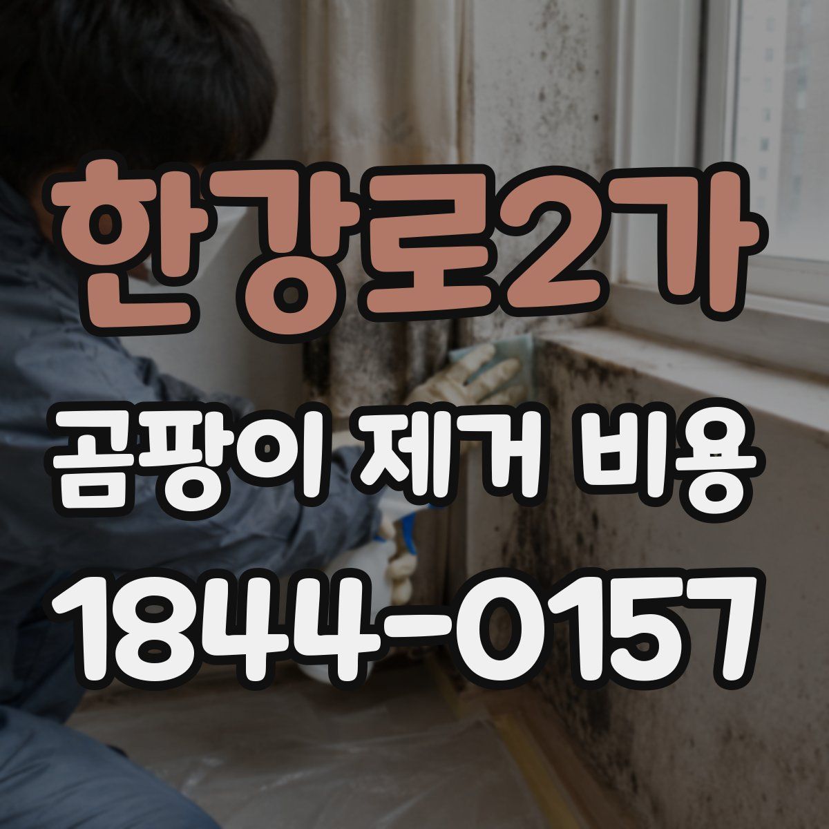 한강로2가 곰팡이 제거 비용