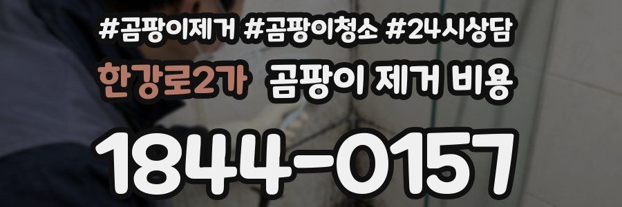 한강로2가 곰팡이 제거 비용