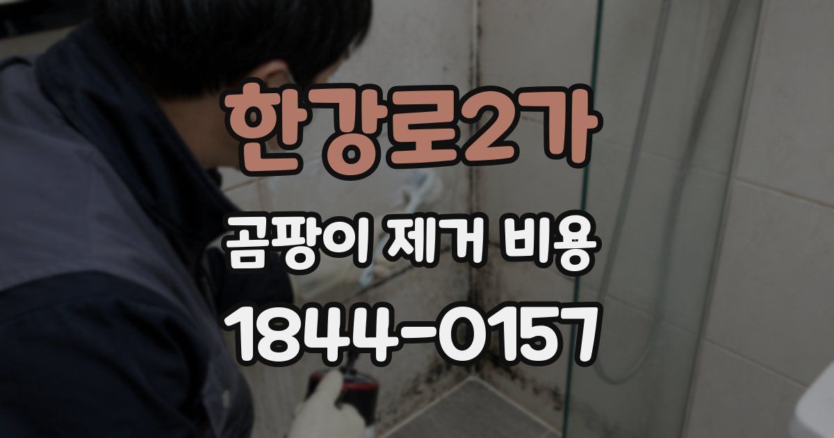 한강로2가 곰팡이 제거 비용