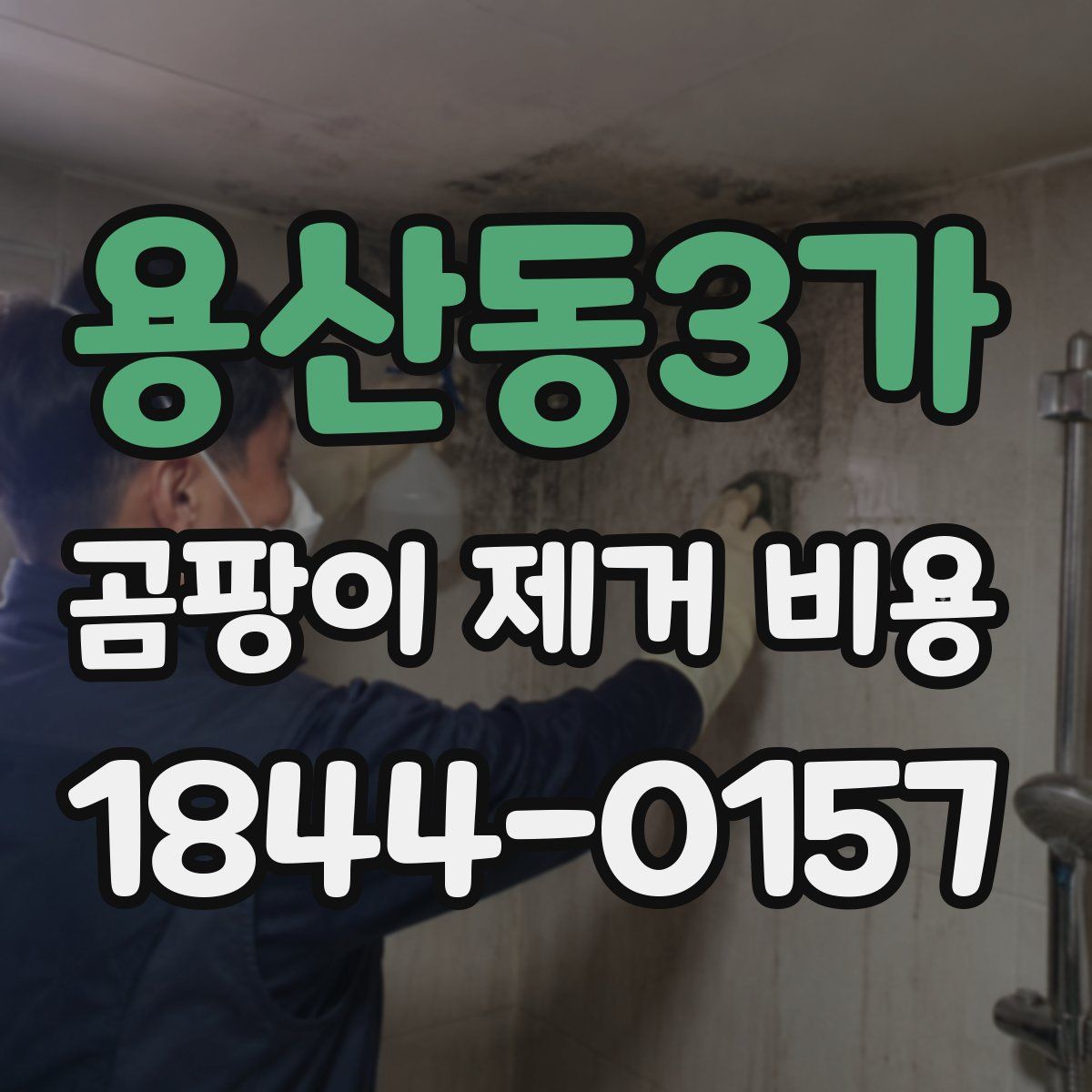 용산동3가 곰팡이 제거 비용
