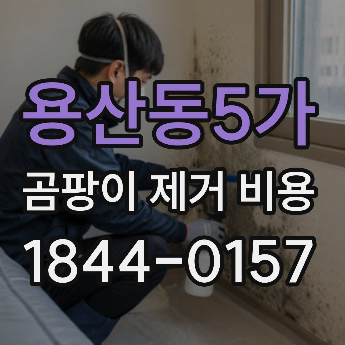 용산동5가 곰팡이 제거 비용