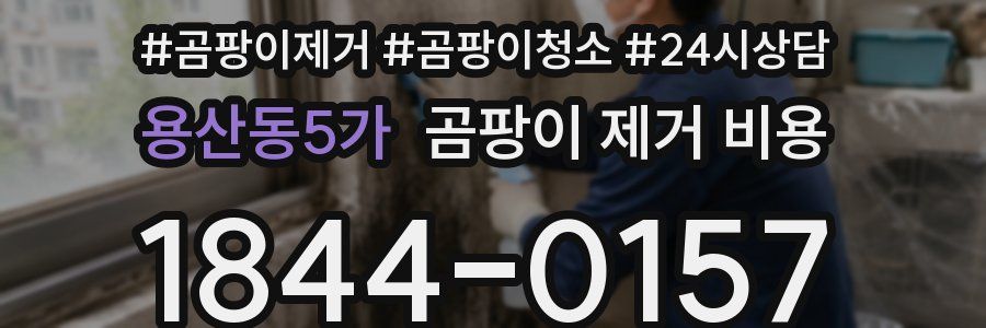용산동5가 곰팡이 제거 비용