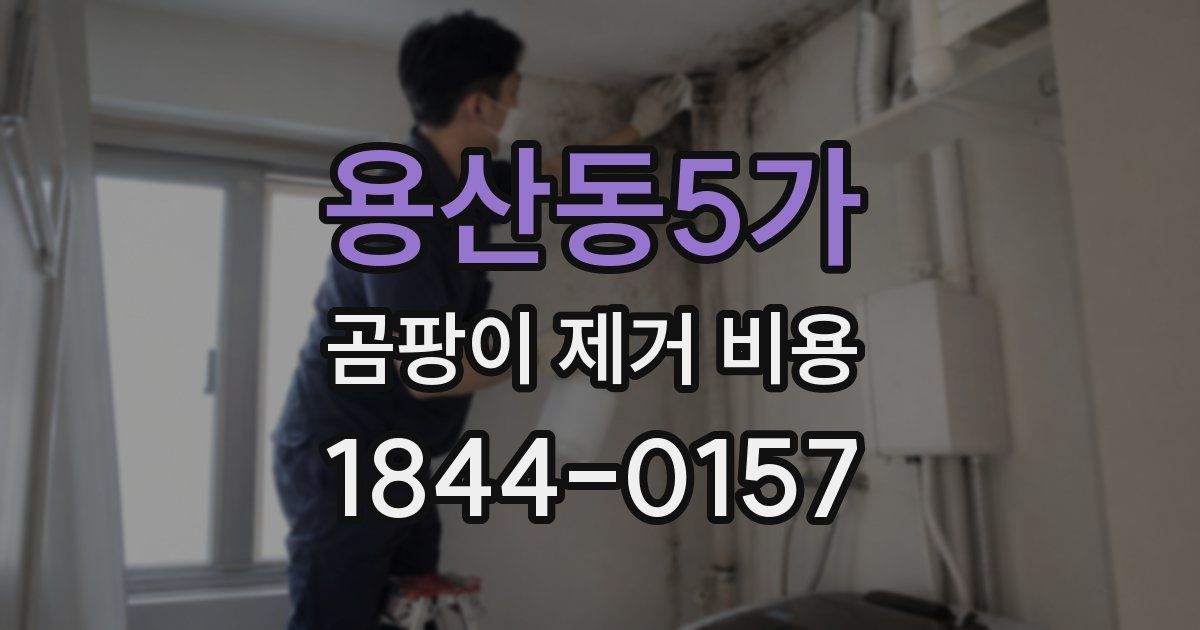 용산동5가 곰팡이 제거 비용