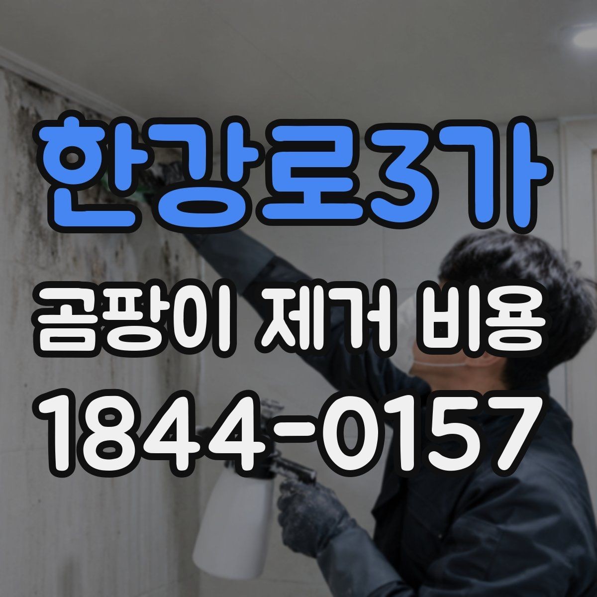 한강로3가 곰팡이 제거 비용 원인 진단 후 처리 범위가 달라지는 까닭