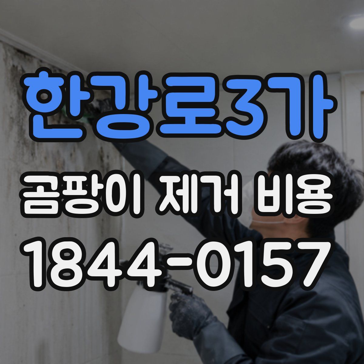 한강로3가 곰팡이 제거 비용