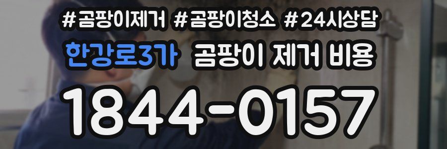 한강로3가 곰팡이 제거 비용