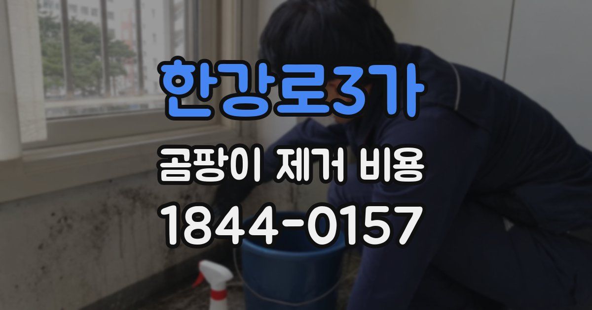 한강로3가 곰팡이 제거 비용