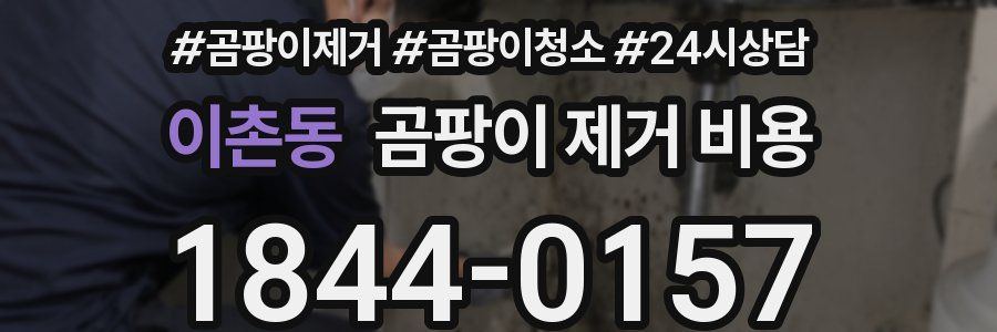 이촌동 곰팡이 제거 비용