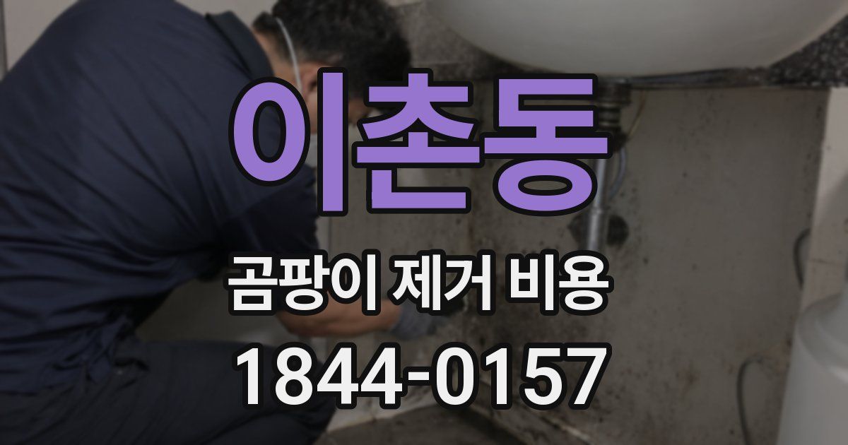 이촌동 곰팡이 제거 비용