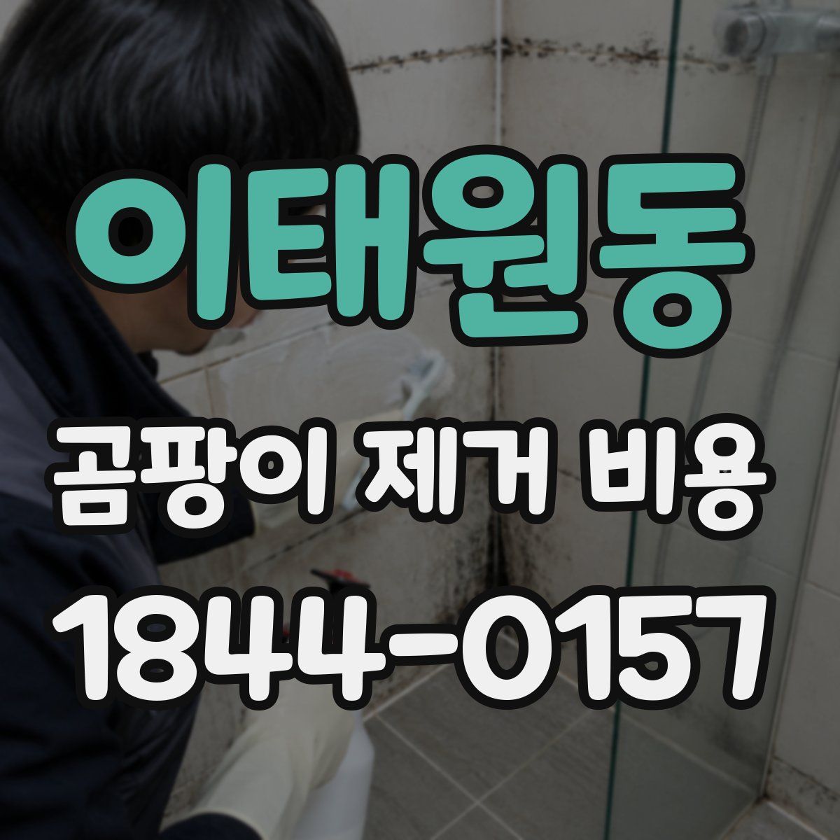이태원동 곰팡이 제거 비용