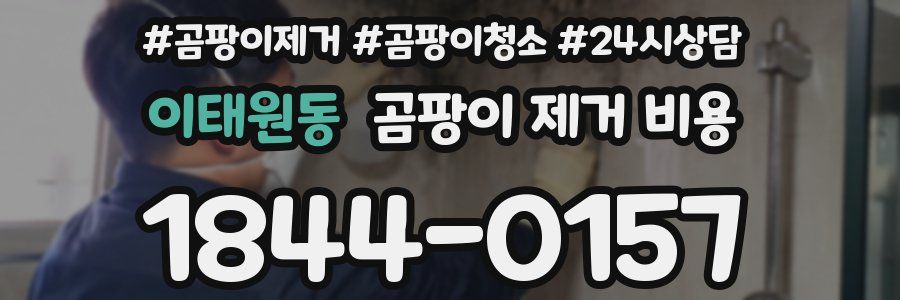 이태원동 곰팡이 제거 비용