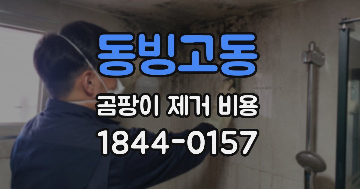 동빙고동 곰팡이 제거 비용