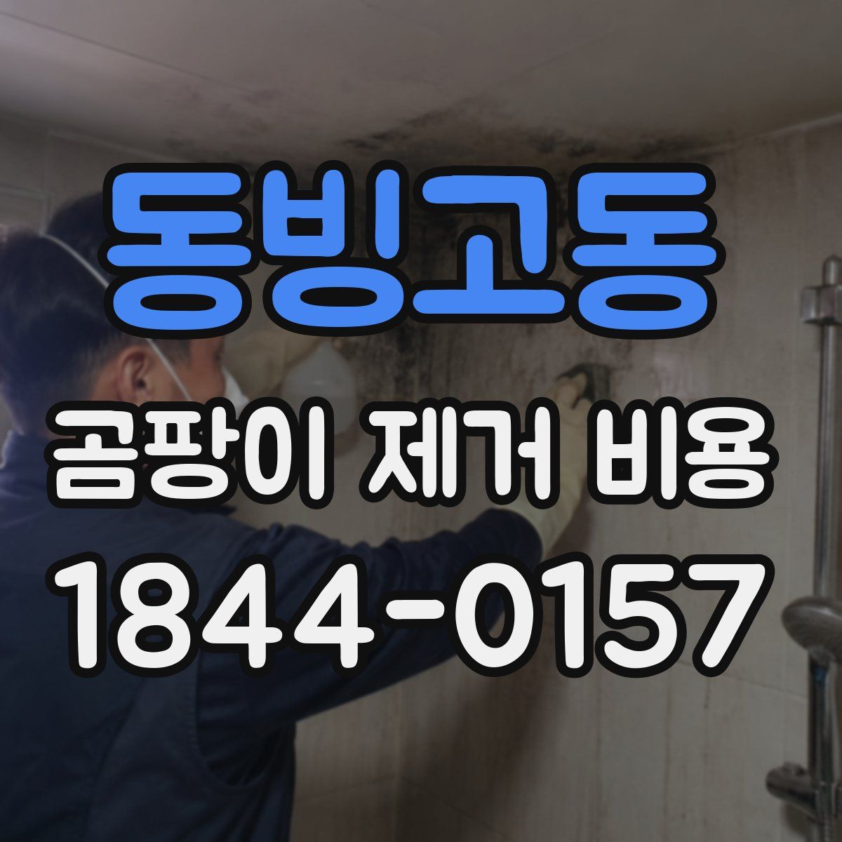 동빙고동 곰팡이 제거 비용