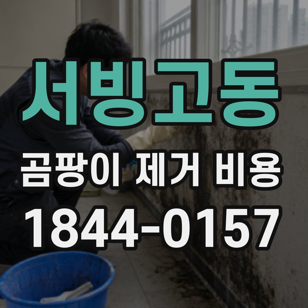 서빙고동 곰팡이 제거 비용