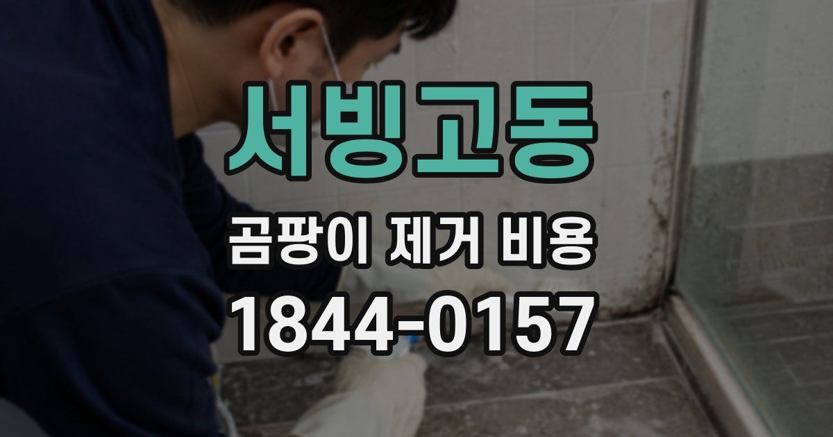 서빙고동 곰팡이 제거 비용