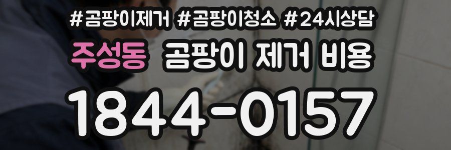 주성동 곰팡이 제거 비용