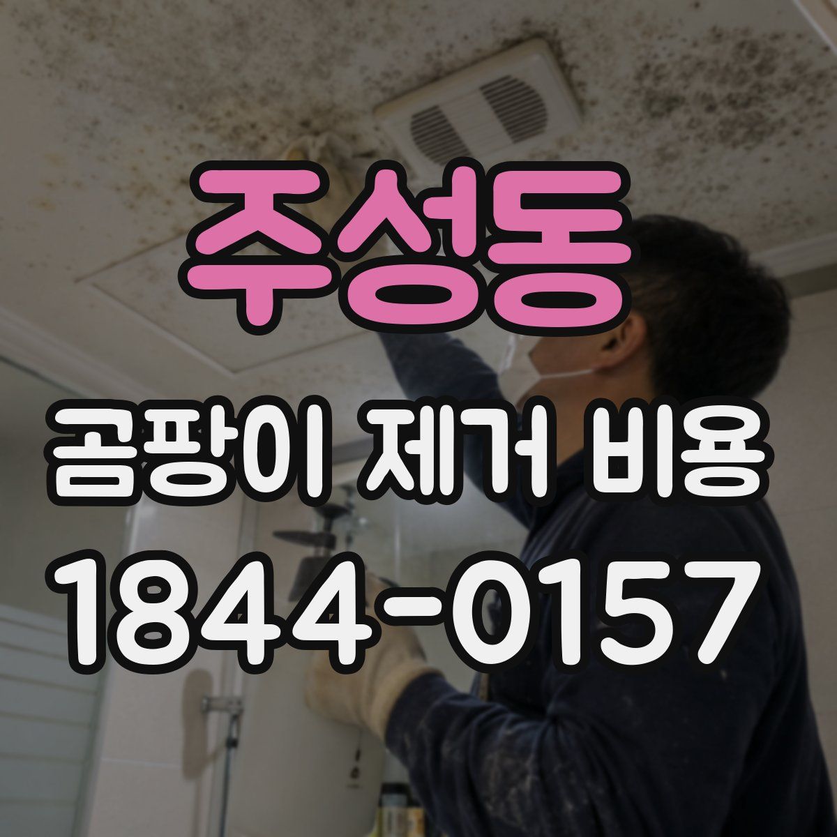주성동 곰팡이 제거 비용