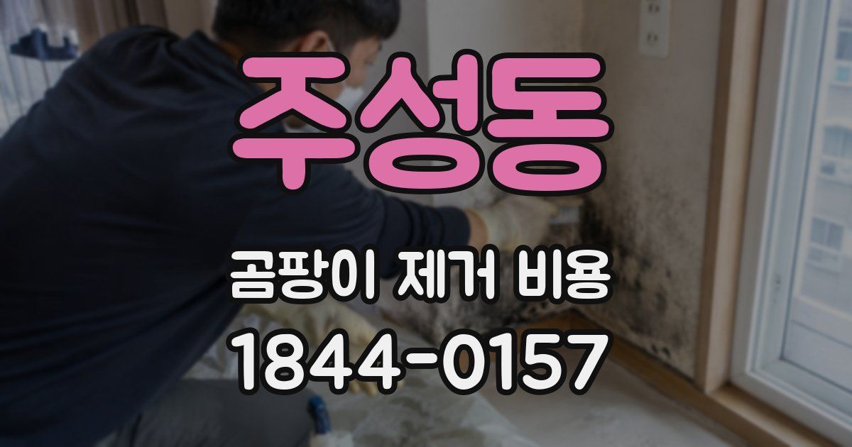 주성동 곰팡이 제거 비용