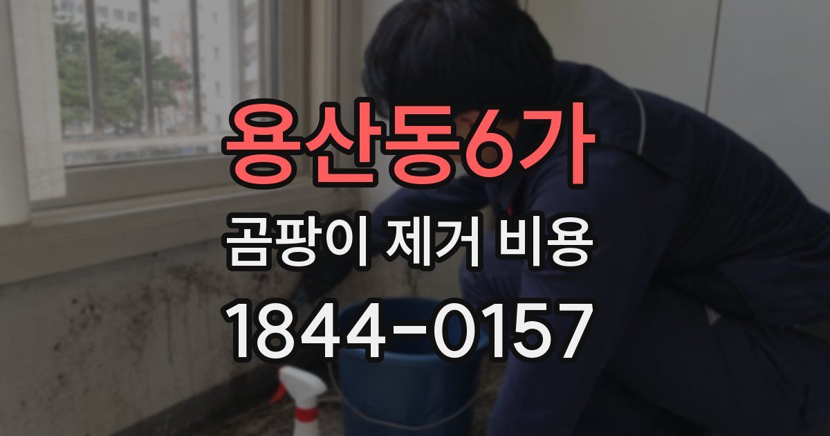 용산동6가 곰팡이 제거 비용