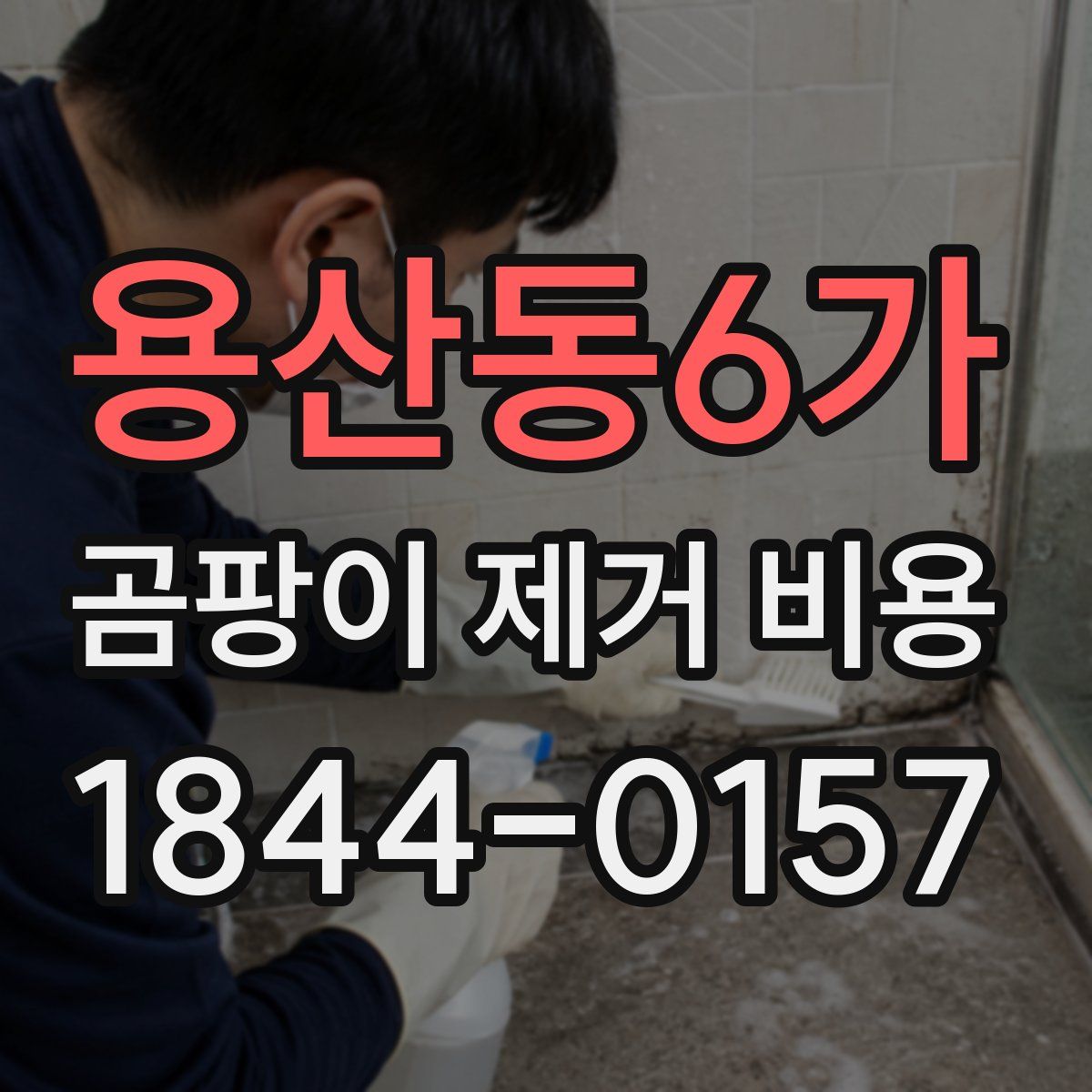 용산동6가 곰팡이 제거 비용