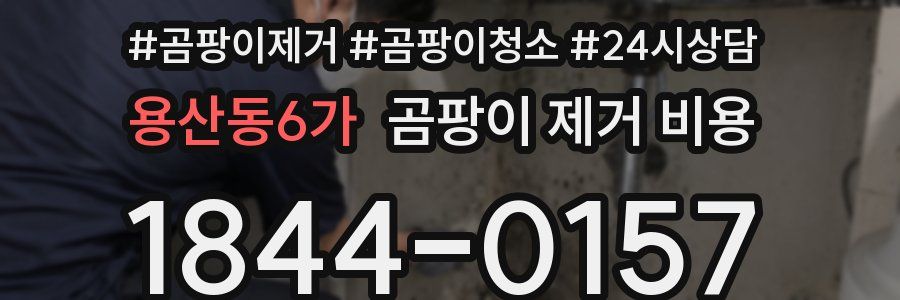 용산동6가 곰팡이 제거 비용
