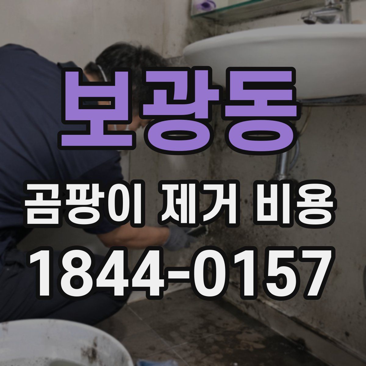 보광동 곰팡이 제거 비용