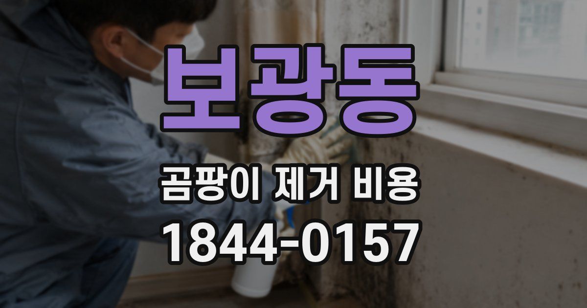 보광동 곰팡이 제거 비용