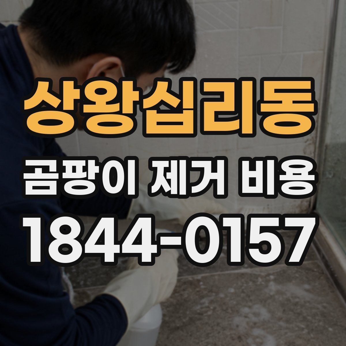 상왕십리동 곰팡이 제거 비용 누수 보수 범위가 달라질 때