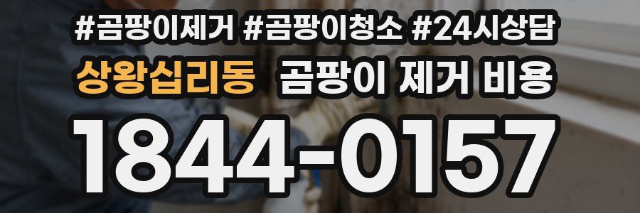 상왕십리동 곰팡이 제거 비용