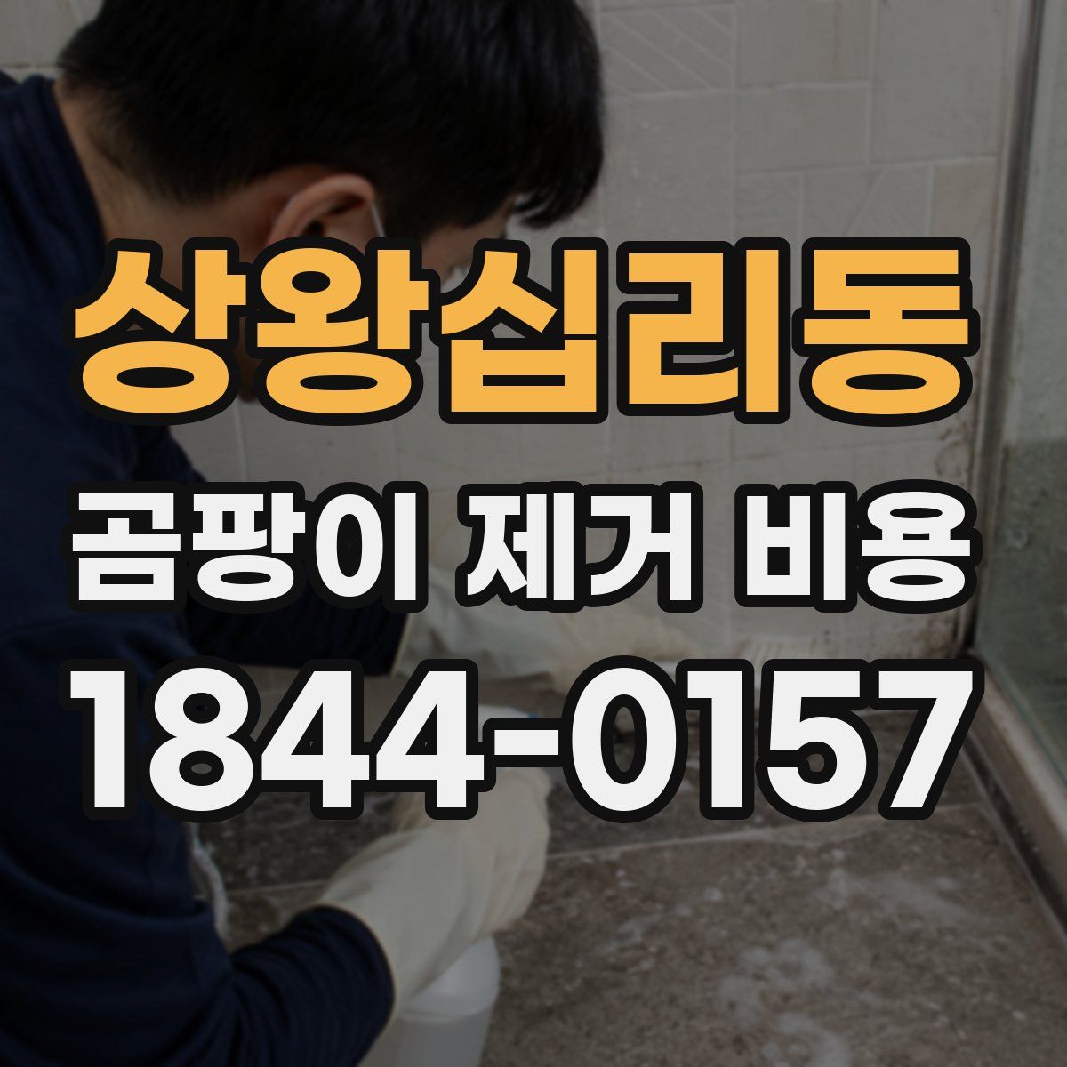 상왕십리동 곰팡이 제거 비용