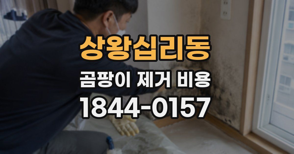 상왕십리동 곰팡이 제거 비용
