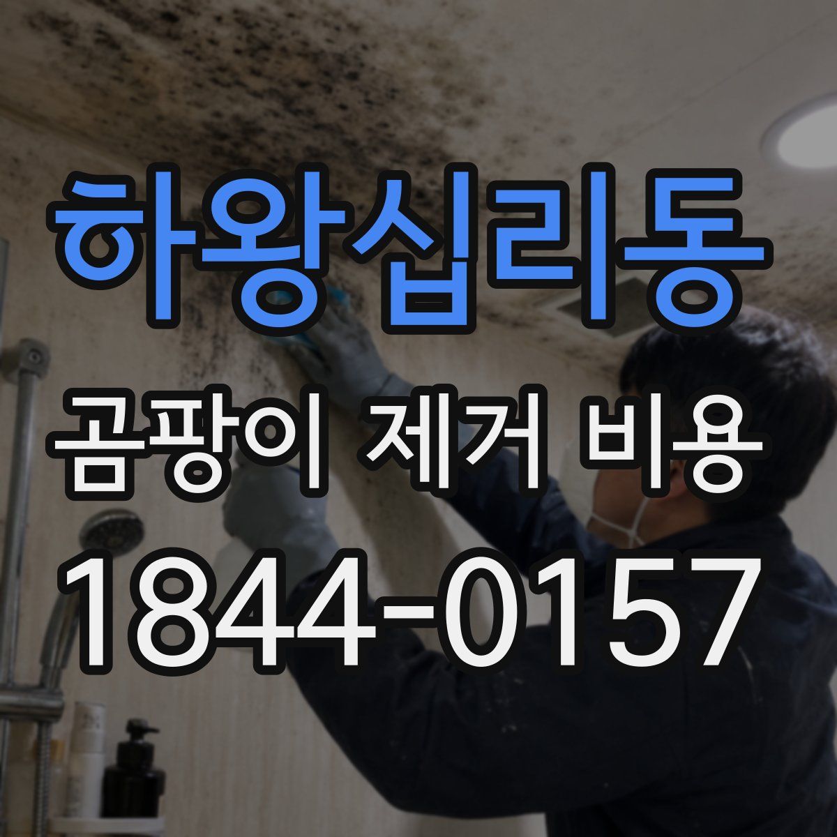 하왕십리동 곰팡이 제거 비용