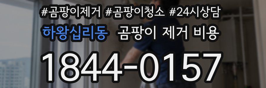 하왕십리동 곰팡이 제거 비용