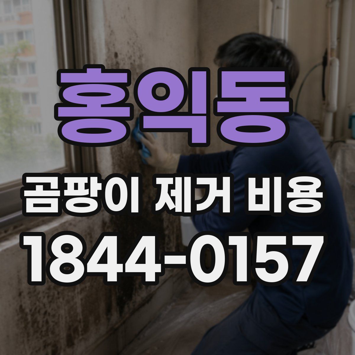 홍익동 곰팡이 제거 비용