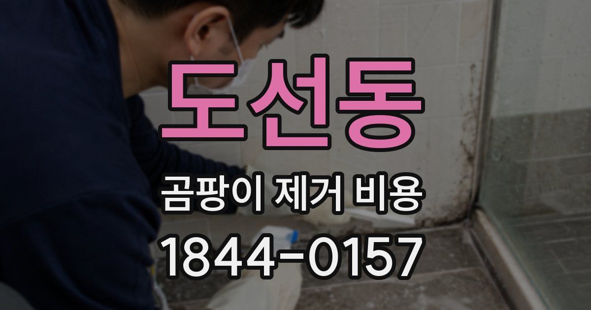 도선동 곰팡이 제거 비용