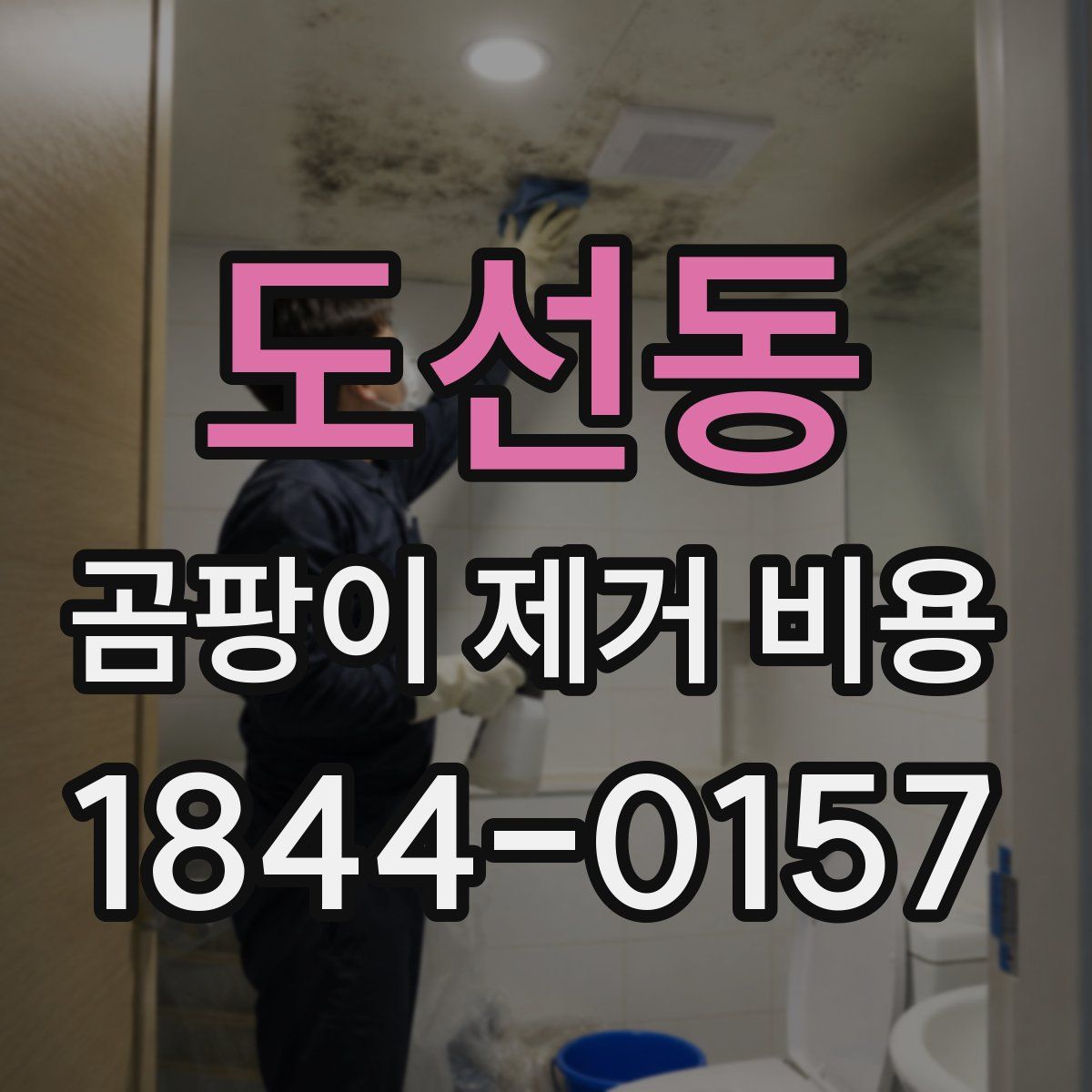 도선동 곰팡이 제거 비용