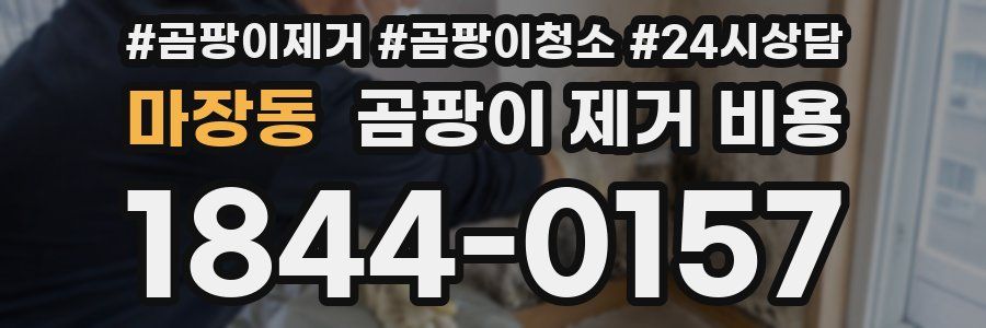 마장동 곰팡이 제거 비용