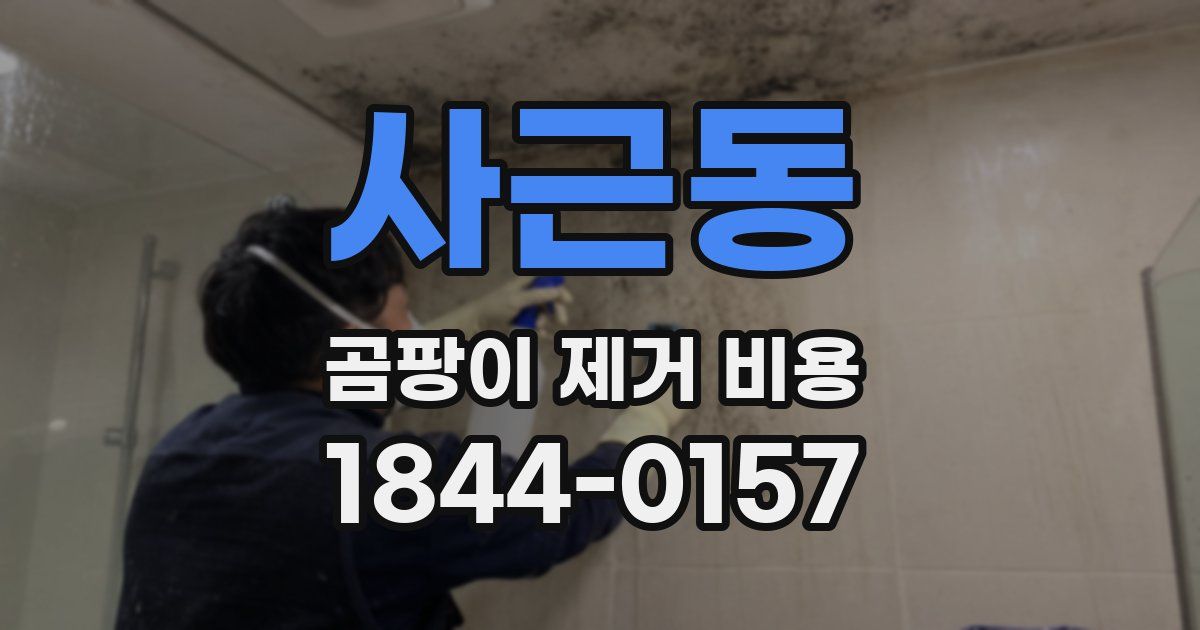 사근동 곰팡이 제거 비용