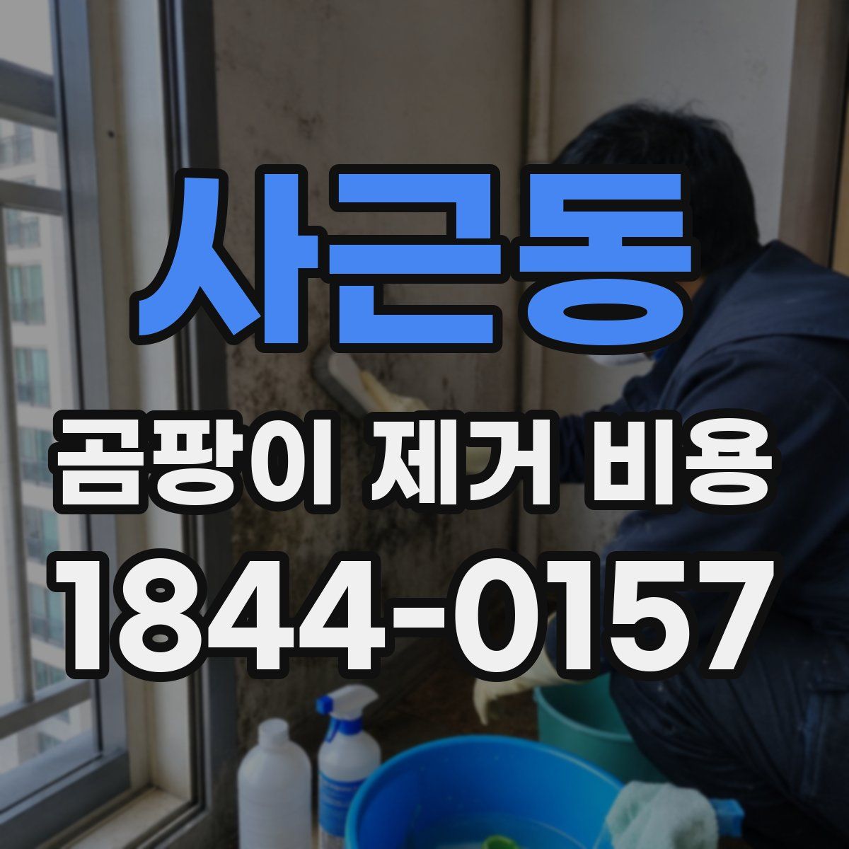 사근동 곰팡이 제거 비용
